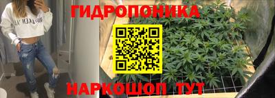 PSILOCYBIN Лесосибирск